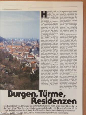 Kunstführer Heidelberg und die Bergstraße