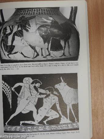 Art and Myth in Ancient Greece