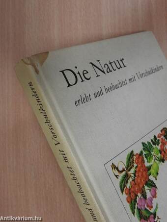 Die Natur