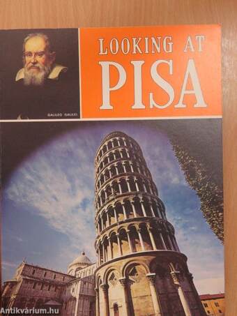 Looking at Pisa