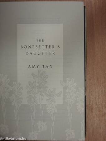 The Bonesetter's Daughter