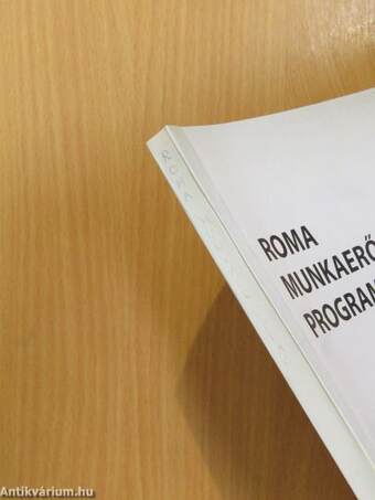 Roma munkaerőpiaci programok