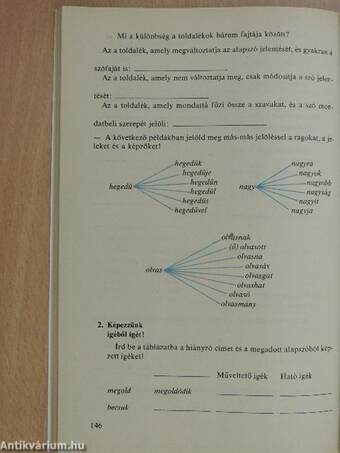 Magyar nyelvi munkafüzet 8.