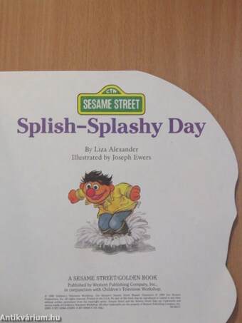 Splish-Splashy Day