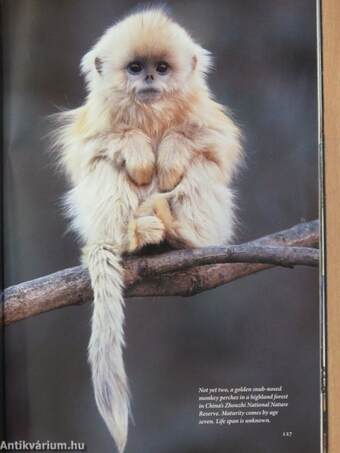 National Geographic February 2011