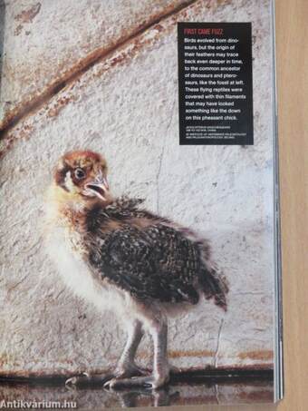 National Geographic February 2011