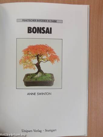 Bonsai