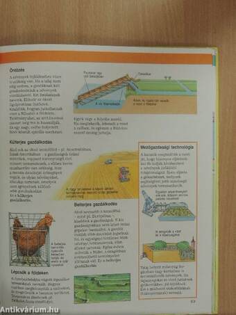 Park-Usborne földrajzi kisenciklopédia