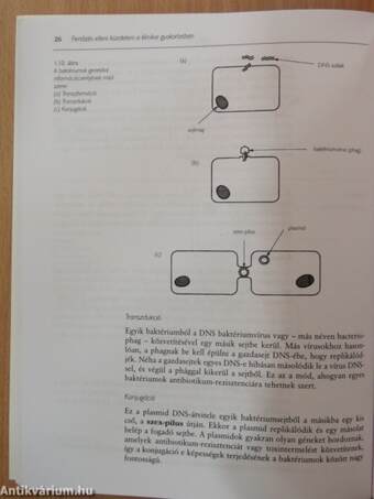 Fertőzés elleni küzdelem a klinikai gyakorlatban