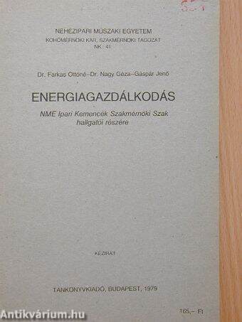 Energiagazdálkodás/Nehézipari Műszaki Egyetem Kohómérnöki Kar, Szakmérnöki Tagozat NK.:41