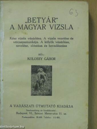 "Betyár" a magyar vizsla (rossz állapotú)