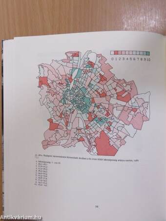 Budapest térbeni-társadalmi szerkezetének változásai (dedikált példány)