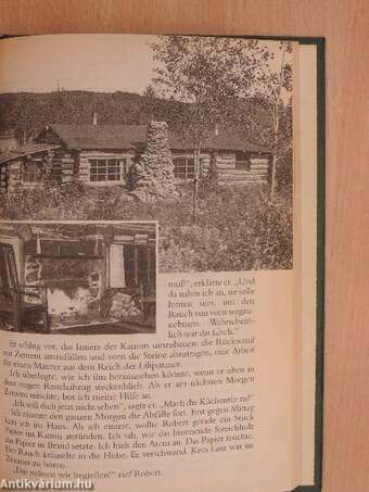 McCreadys Doppelspiel/Geheimnisvolle Gäste/Die Lerche fliegt im Morgengrauen/Einsames Blockhaus