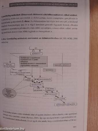 Genetikailag módosított növények az élelmiszerláncban