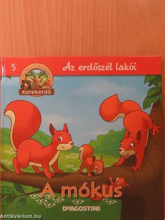 A mókus