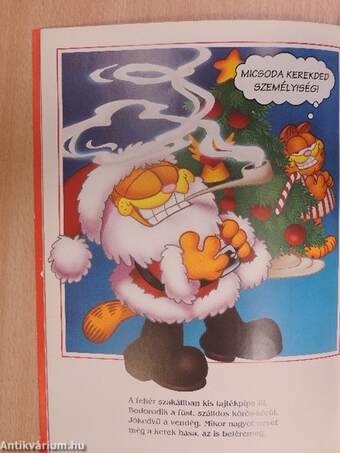 Garfield karácsonya