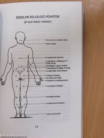 Erőnk (dedikált példány)