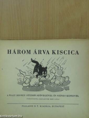 Három árva kiscica (rossz állapotú)