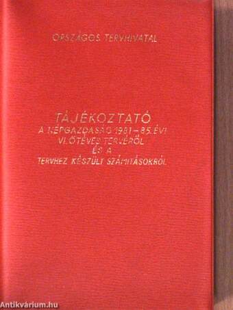 Tájékoztató a népgazdaság 1981-85. évi VI. ötéves tervéről és a tervhez készült számitásokról