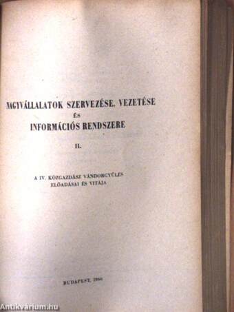 Nagyvállalatok szervezése, vezetése és információs rendszere I-II.