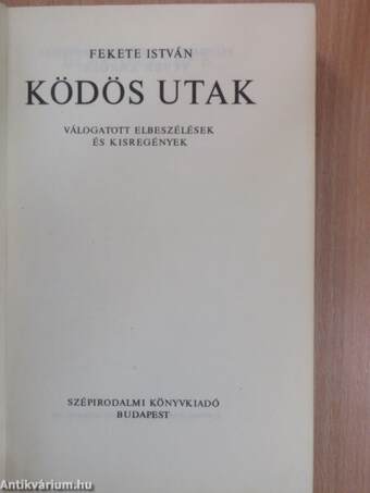 Ködös utak