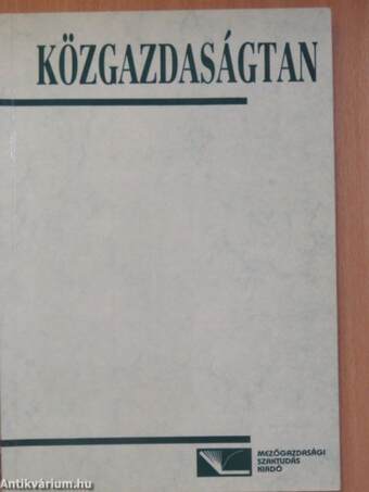 Közgazdaságtan