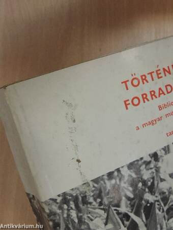 Történelem-forradalom II. 1919. augusztus 1 - 1968. december 31.