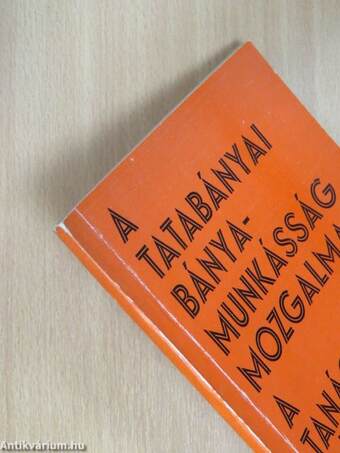 A tatabányai bányamunkásság mozgalmai a Tanácsköztársaság leverése után (1919-1920)