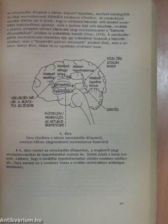 A differenciális pszichofiziológia alapjai