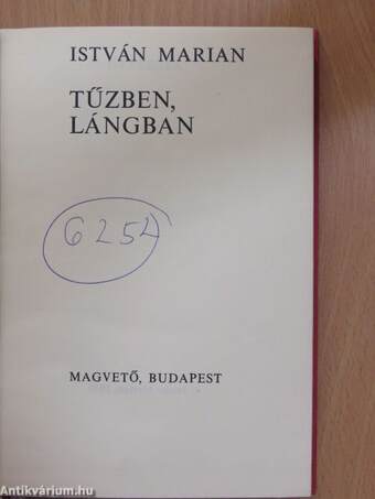 Tűzben, lángban