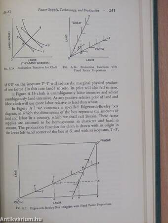 International Economics