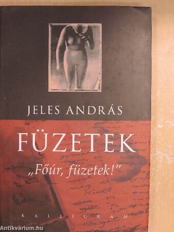 Füzetek - ,,Főúr, füzetek!"