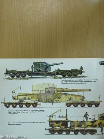 German Railroad Guns in action