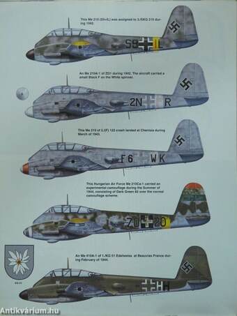 Messerschmitt Me 210/410 in action