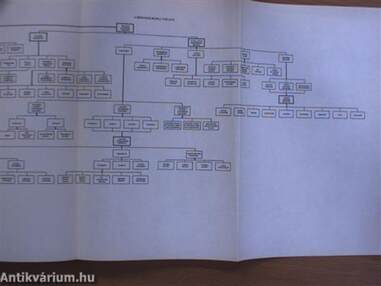 A szociális gondoskodás változásai Magyarországon