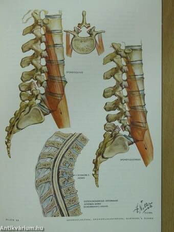 Clinical Symposia May-June-July 1960