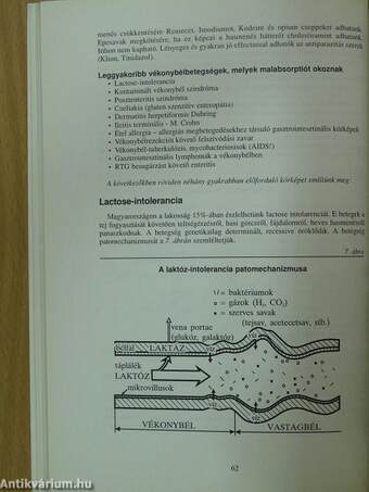 Gastroenterologia a háziorvos gyakorlatában