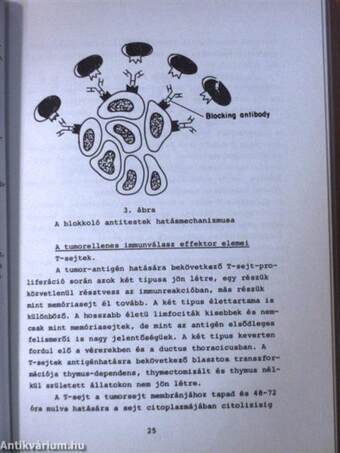 Immunológia a nőgyógyászatban II. 1980/4