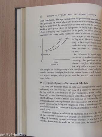 Business Cycles and Economic Growth