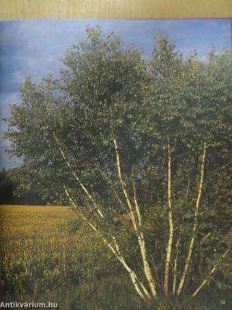 Polski pejzaz/Polish Landscapes/Polnische Landschaften