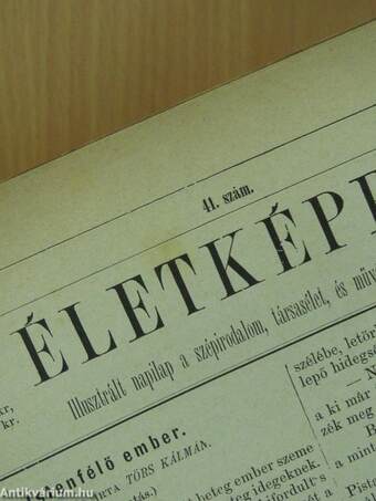 Életképek 1876. (nem teljes évfolyam)