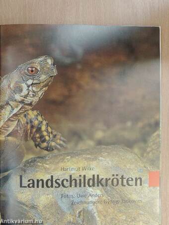 Landschildkröten