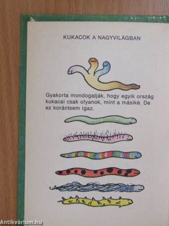 Kis kukac könyv