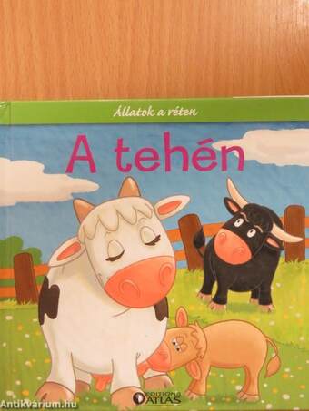 A tehén