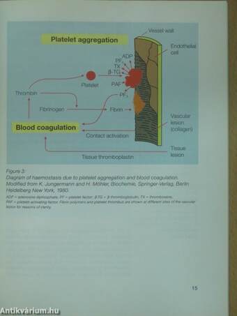 Fibrinogen