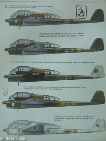 Focke-Wulf Fw 189 in action