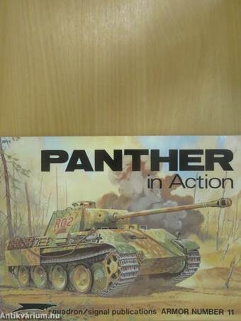 Panther in Action