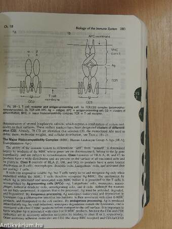 The Merck Manual