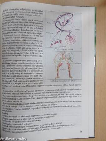 Élő környezetem 9.