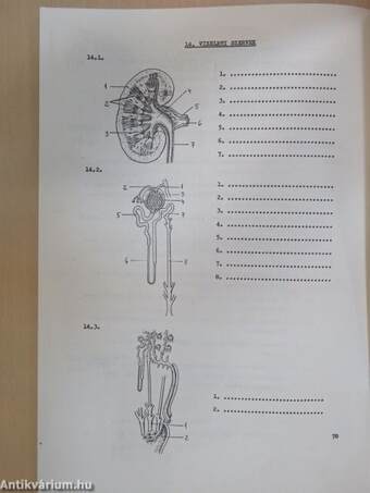 Biológia feladatgyűjtemény